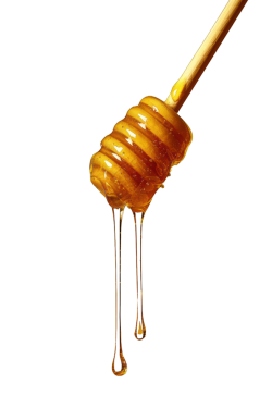 honey-dripping-from-wooden-spoon-free-png honey-dripping-from-wooden-spoon-free-png