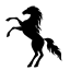 silhouette-of-a-rearing-horse-black-silhouette-on-a-white-background-free-vector-removebg-preview